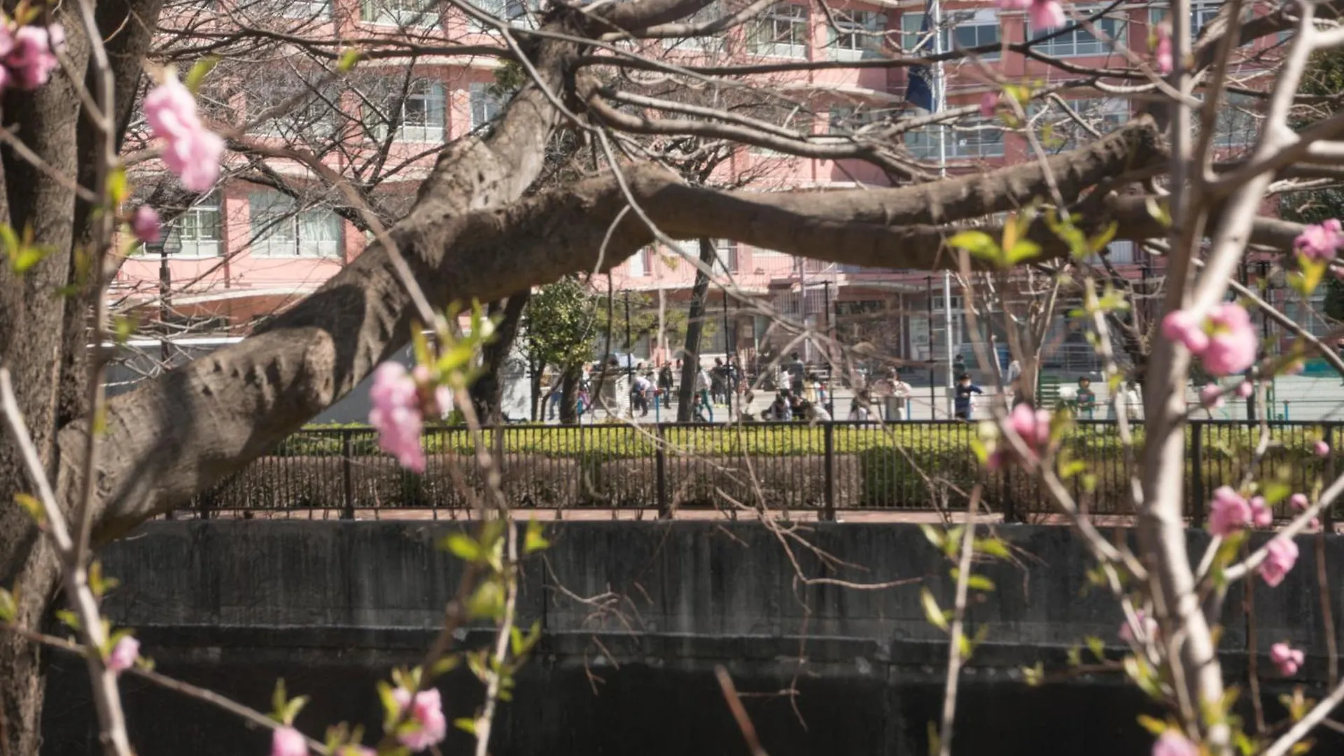 Family Or Business Travel 20 Percent Off Free Ikebukuro Shuttle Garden Villa Up To 7 Guests Tokyo 0*,  Japan
