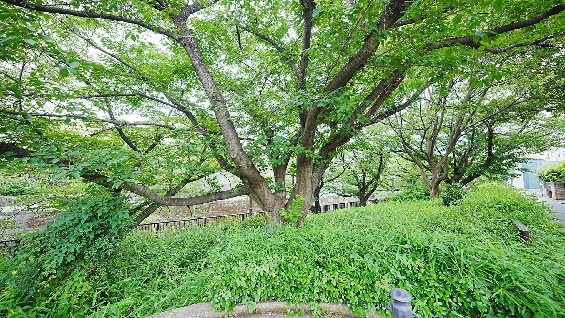 Family Or Business Travel 20 Percent Off Free Ikebukuro Shuttle Garden Villa Up To 7 Guests Tokyo