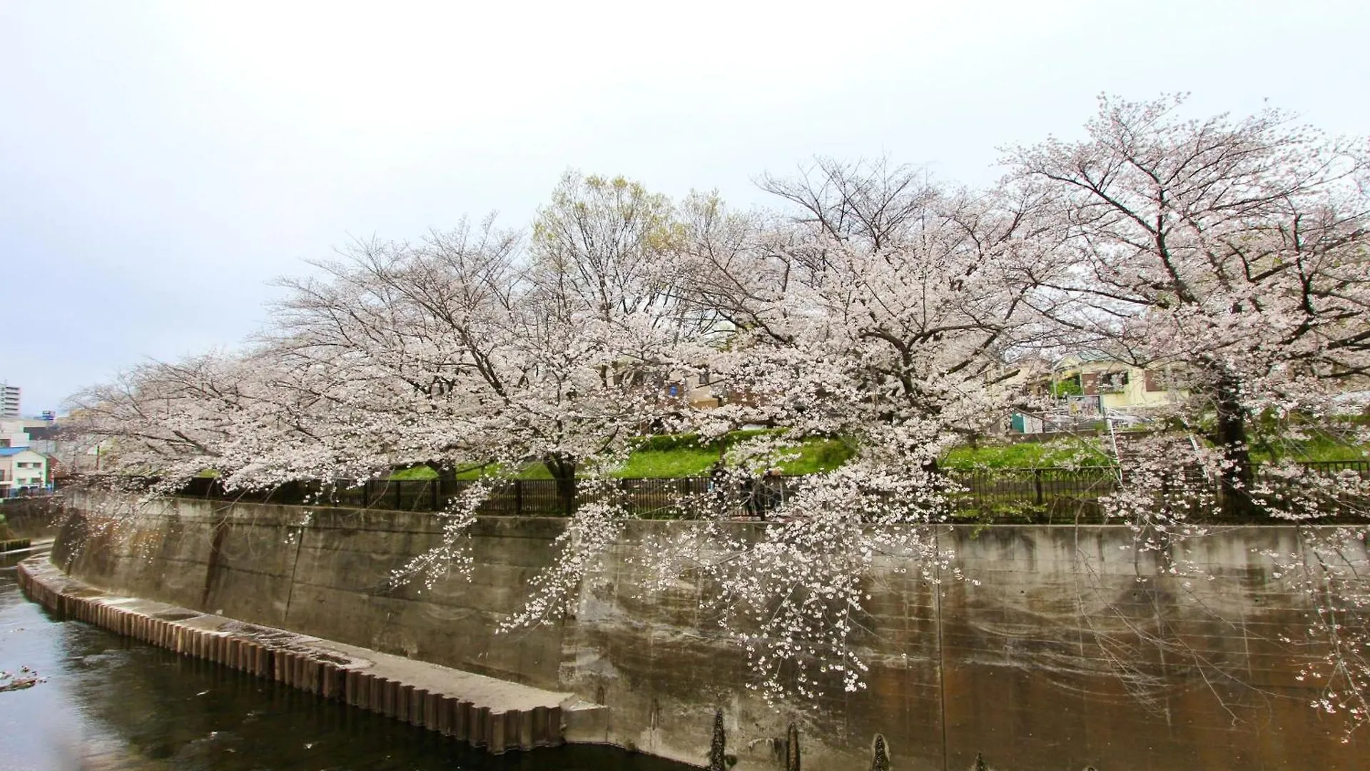 Family Or Business Travel 20 Percent Off Free Ikebukuro Shuttle Garden Villa Up To 7 Guests Tokyo Japan