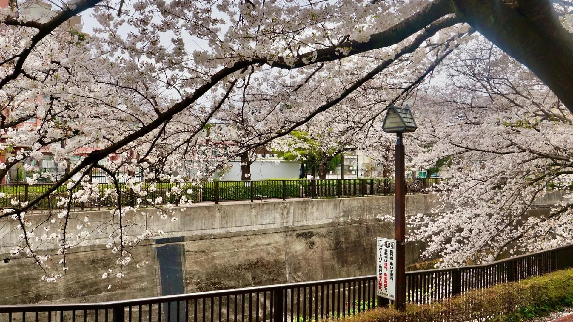Family Or Business Travel 20 Percent Off Free Ikebukuro Shuttle Garden Villa Up To 7 Guests Tokyo