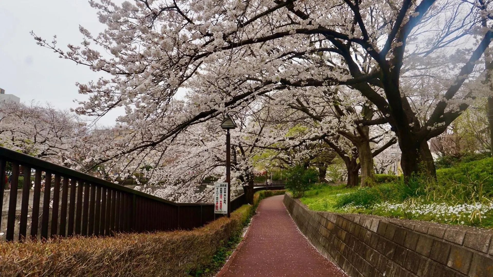 Family Or Business Travel 20 Percent Off Free Ikebukuro Shuttle Garden Villa Up To 7 Guests Tokyo