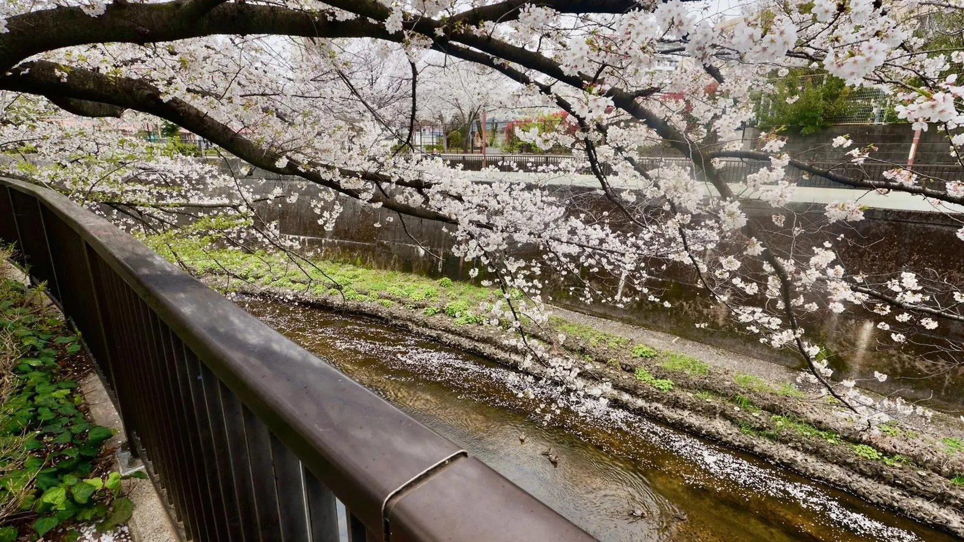 Family Or Business Travel 20 Percent Off Free Ikebukuro Shuttle Garden Villa Up To 7 Guests Tokyo 0*,